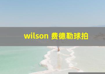 wilson 费德勒球拍